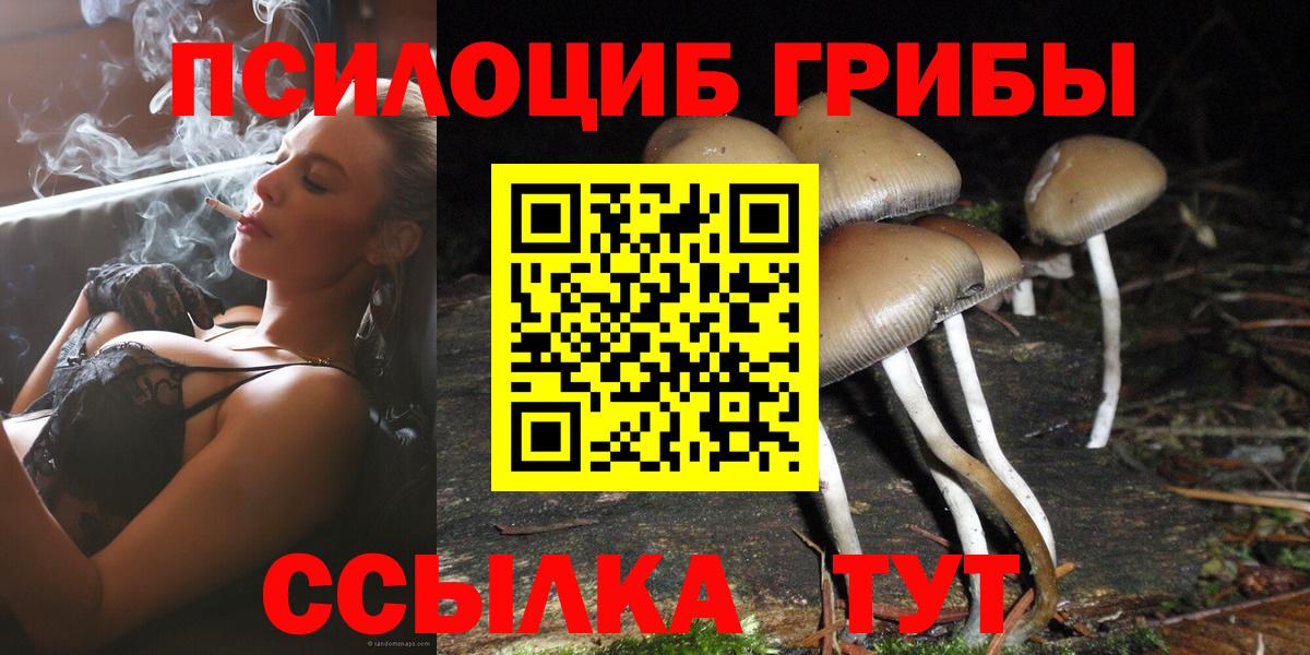 Псилоцибиновые грибы Psilocybe  Вход с VPN  Елец 